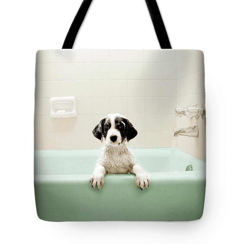 Pets Tote Bag featuring the photograph Puppy In Bathtub by Stevecoleimages