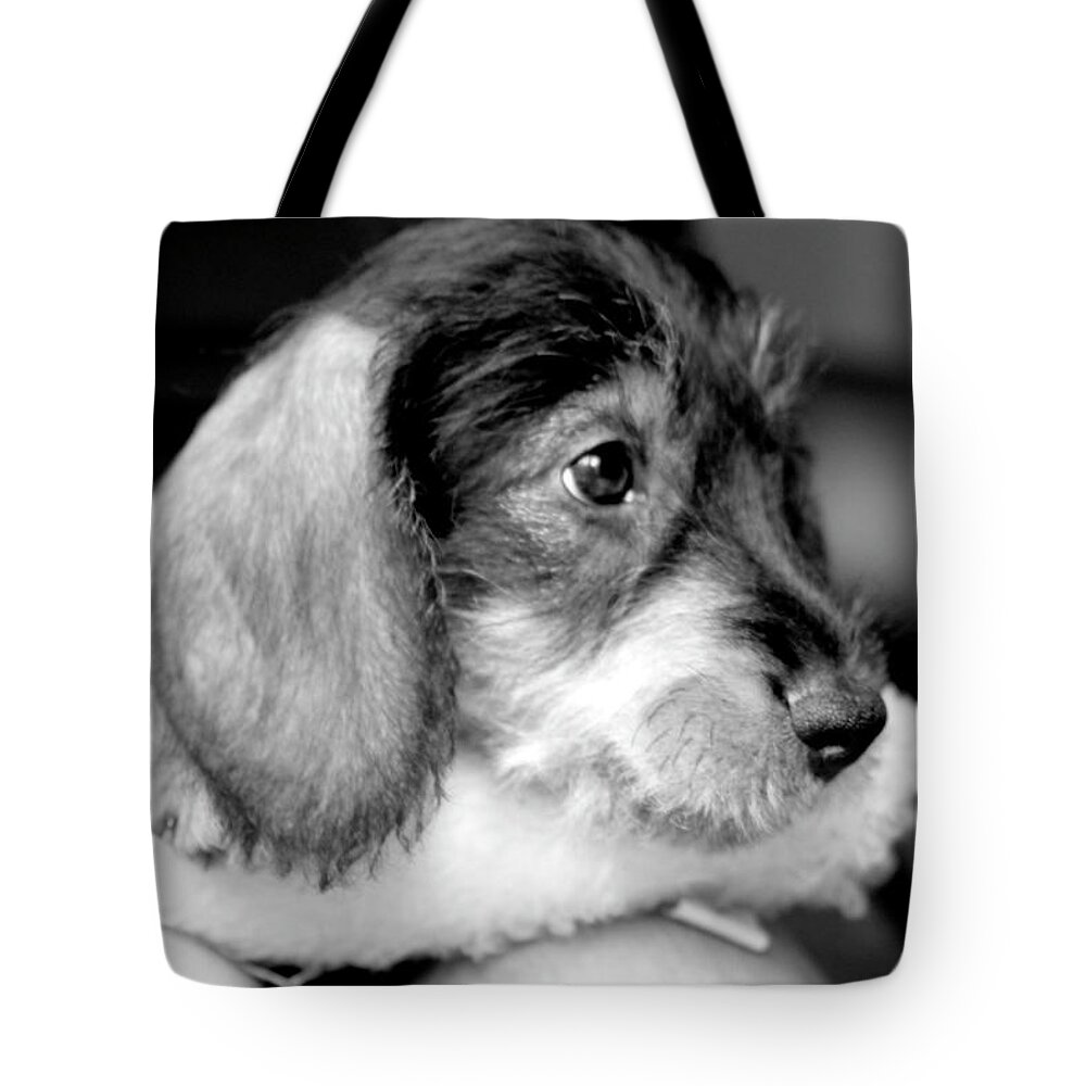 Little Tote Bag featuring the photograph Puppy by Inge Elewaut