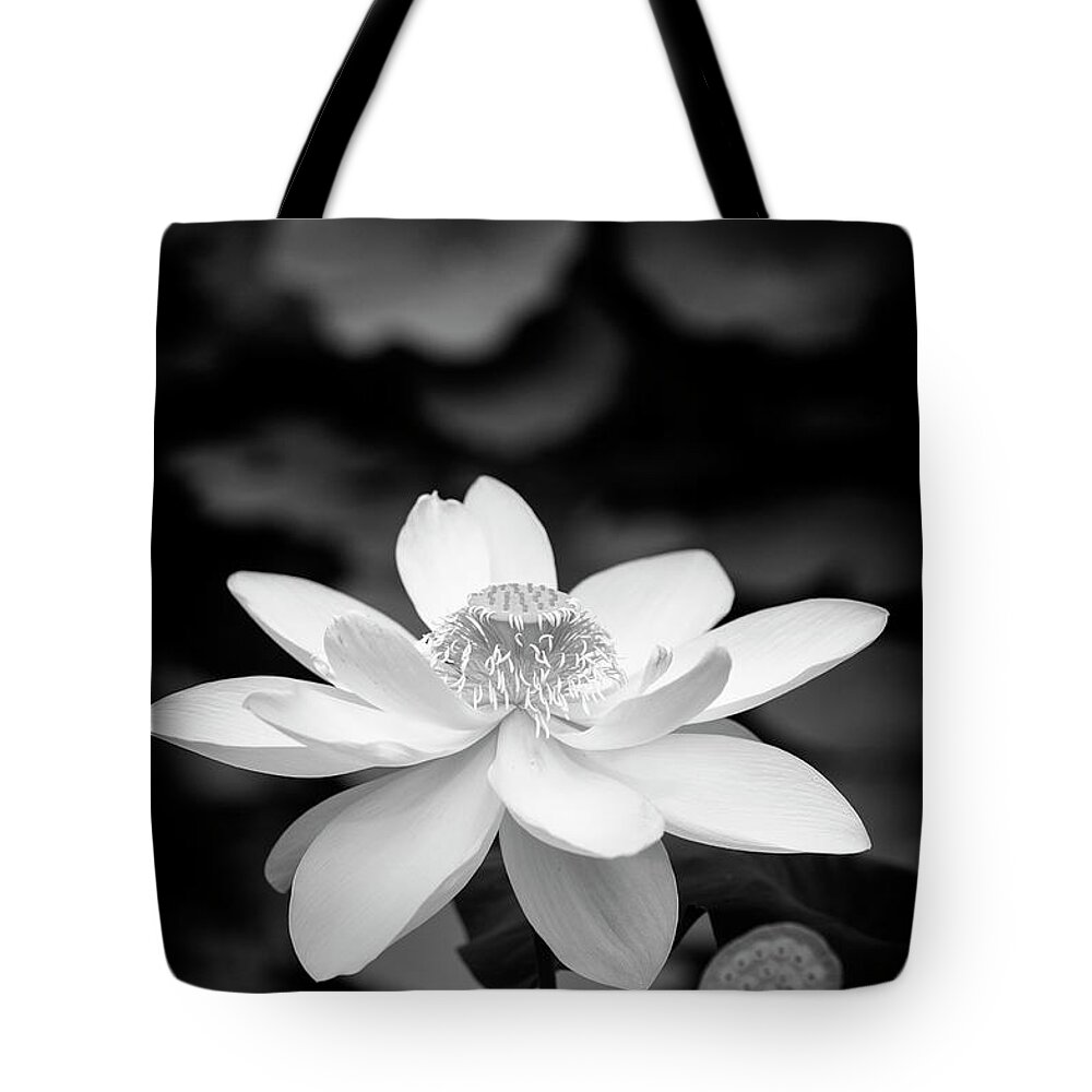  Lotus Tote Bag featuring the photograph Pure and Simple by Tim Gainey