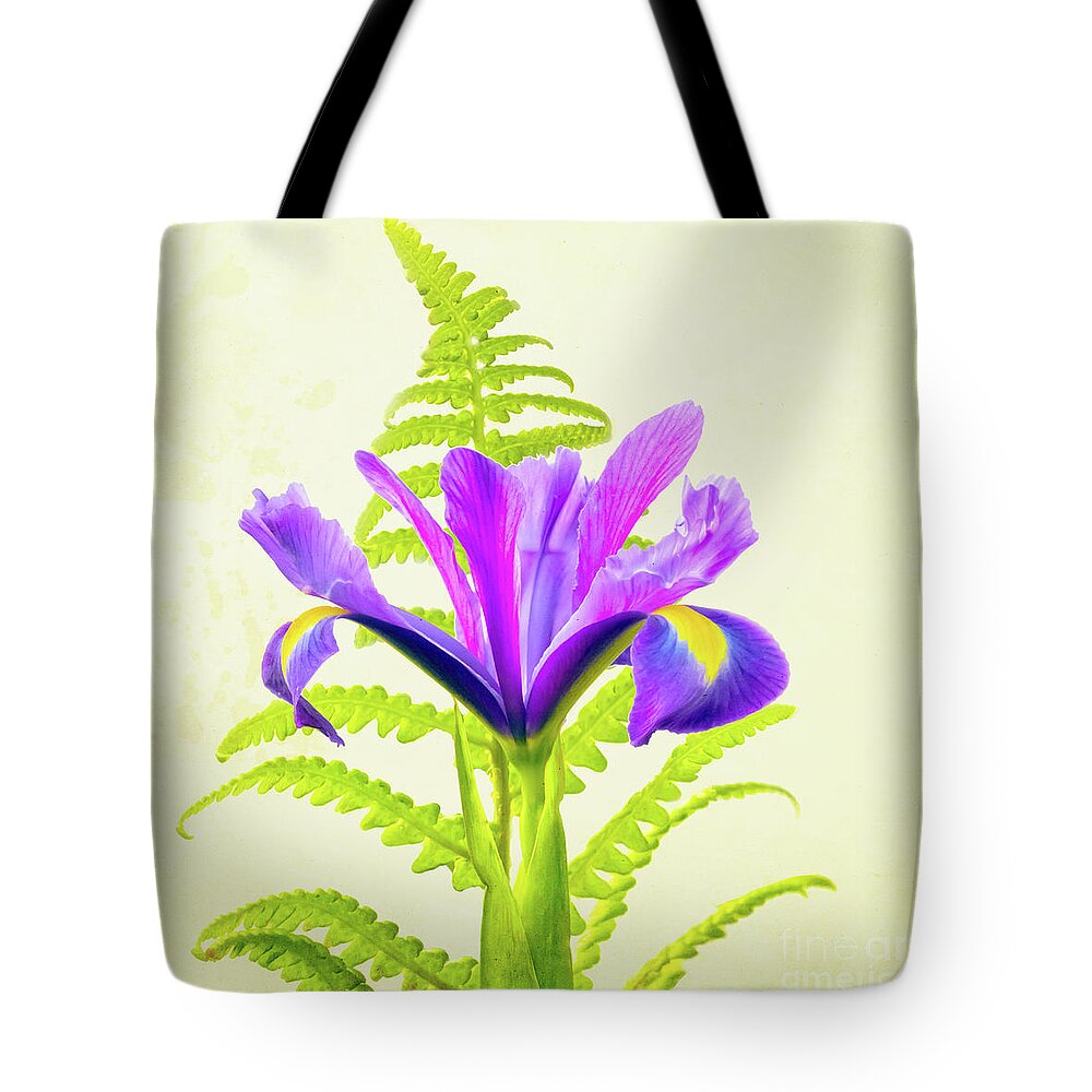 Flower Tote Bag featuring the photograph Purple and Blue Iris by Terri Waters