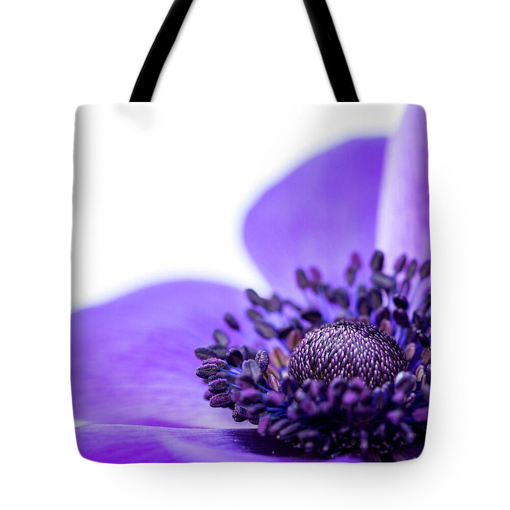 Anemone Coronaria Tote Bag featuring the photograph Purple Anemone by Tanya C Smith