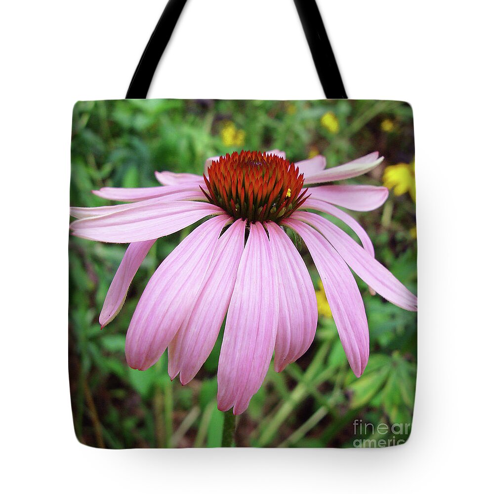 Echinacea Tote Bag featuring the photograph Purple Coneflower 35 by Amy E Fraser