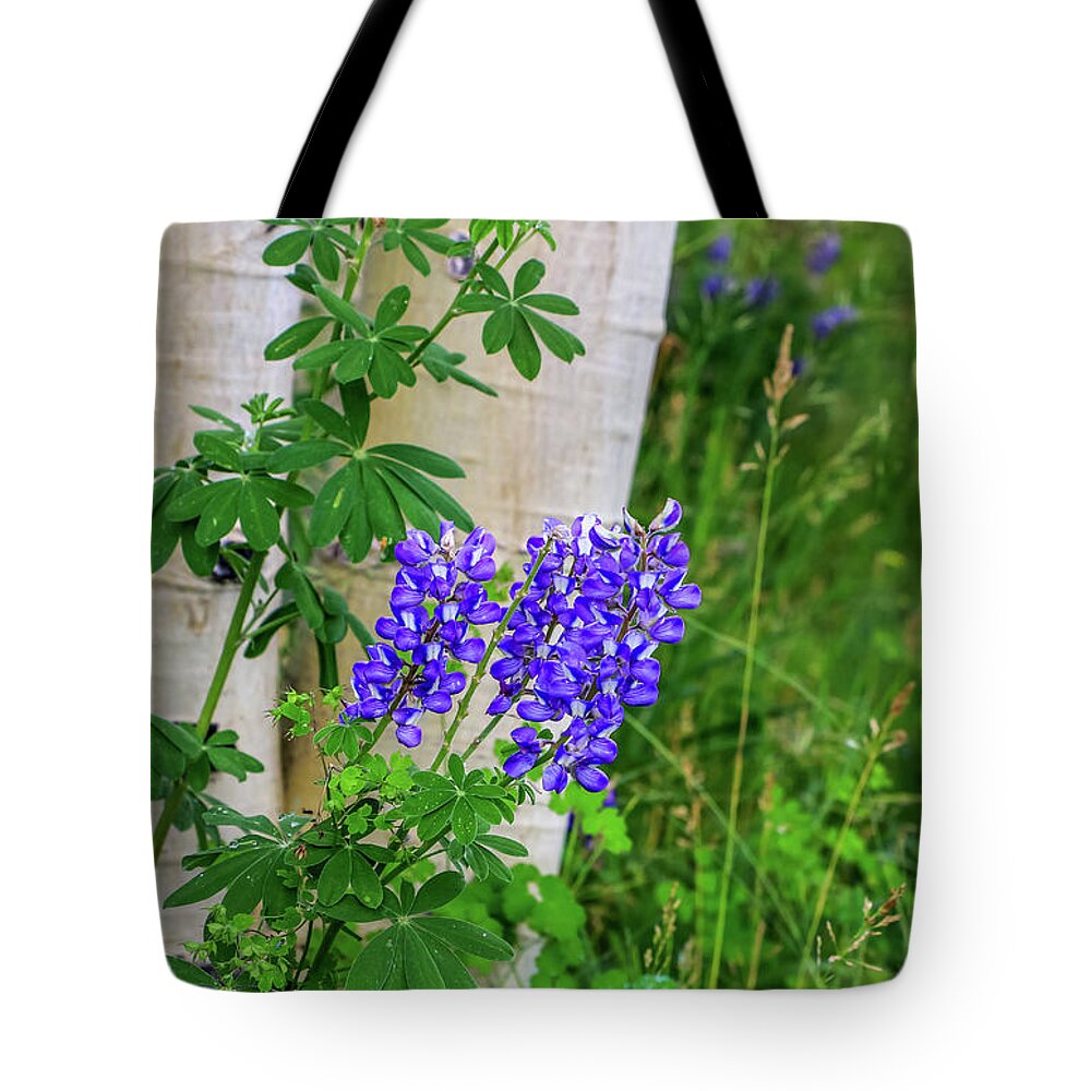 Arizona Tote Bag featuring the photograph Purple Lupine and Aspen by Dawn Richards
