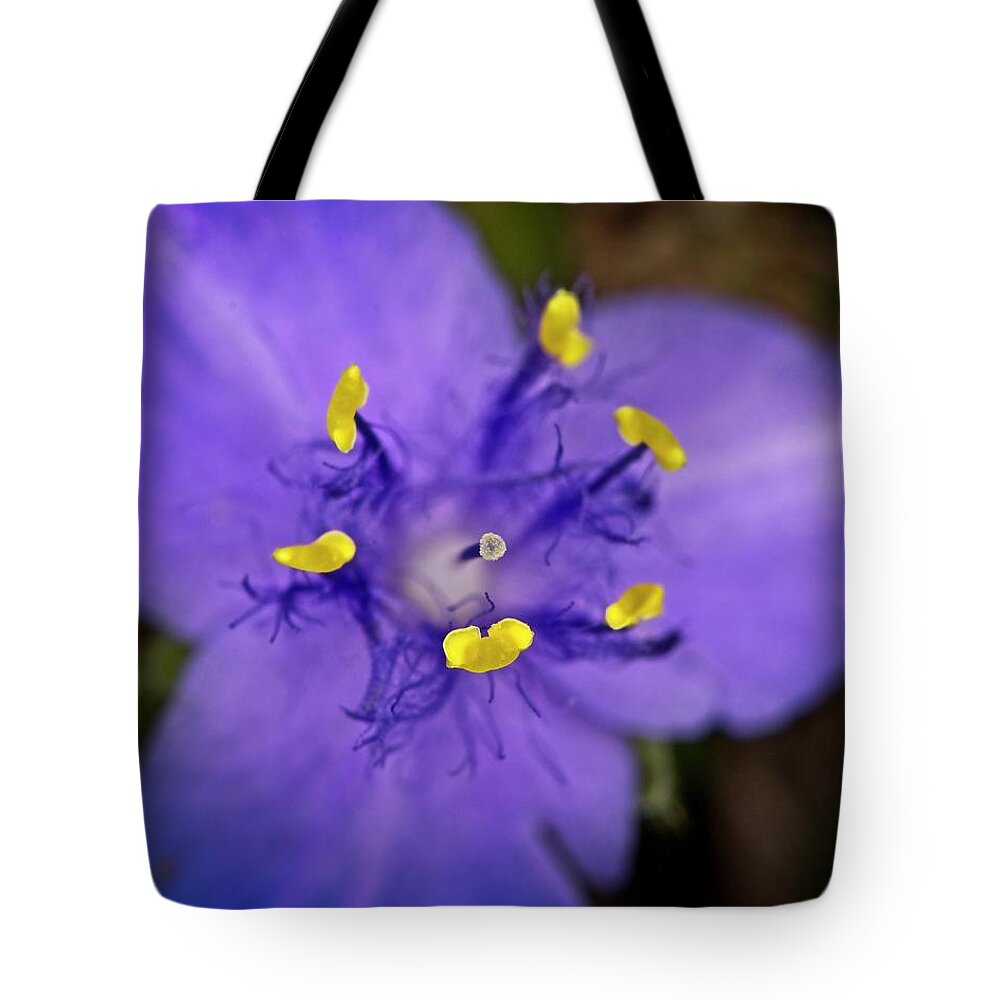 Nature Tote Bag featuring the photograph Purple Majesty by John Benedict