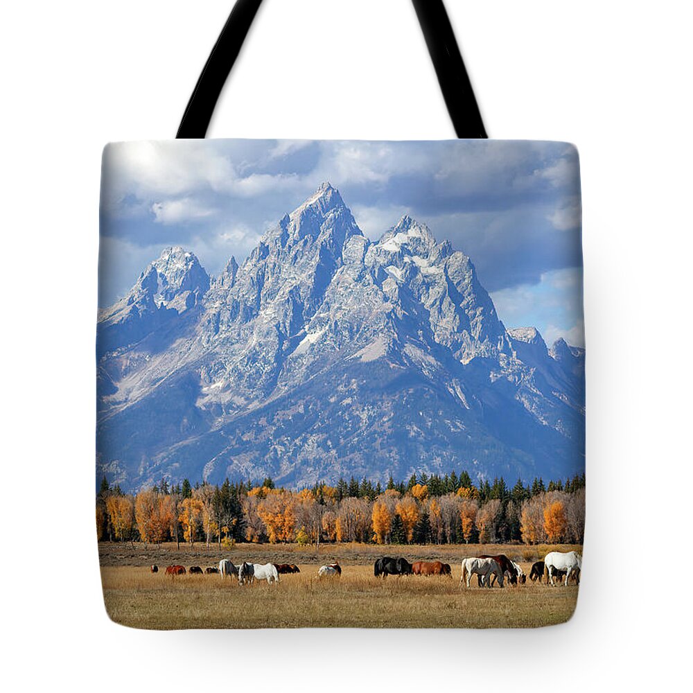 Grand Teton National Park Tote Bag featuring the photograph Purple Mountains Majesty by Jack Bell