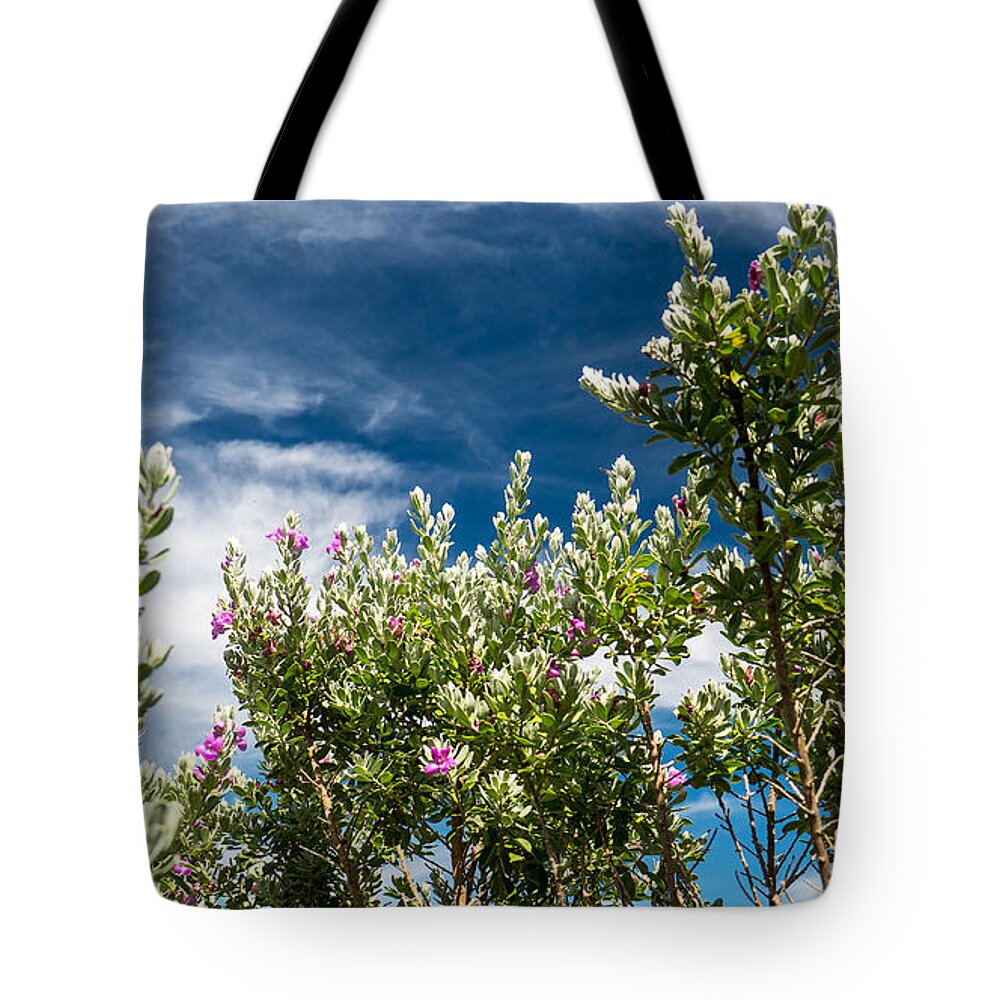 Purple Sage Tote Bag featuring the photograph Purple Sage and Sky by Ivars Vilums