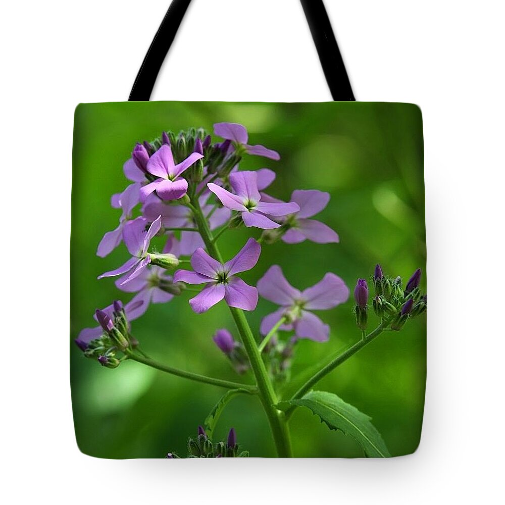 Purple Tote Bag featuring the photograph Purple Shaded Flower by Tina M Daniels  Whiskey Birch Studios