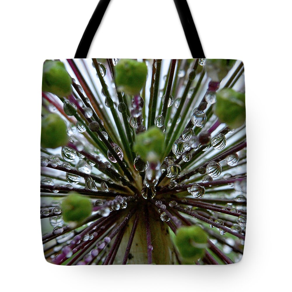 Purple Tote Bag featuring the photograph Purple Spikes With Droplets by Elizabeth Root Blackmer