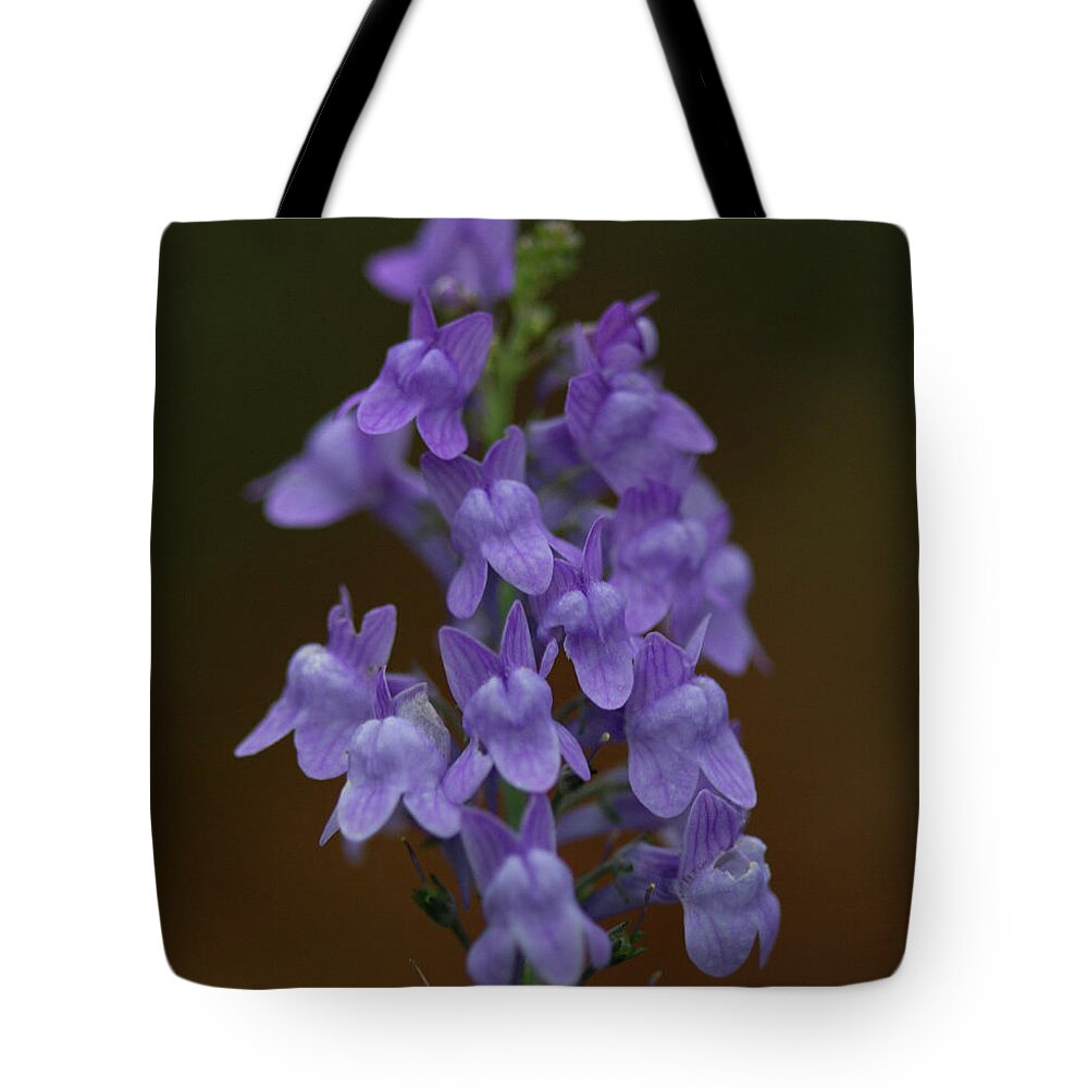 Purple Tote Bag featuring the photograph Purple Toadflax Flowers by Dr T J Martin