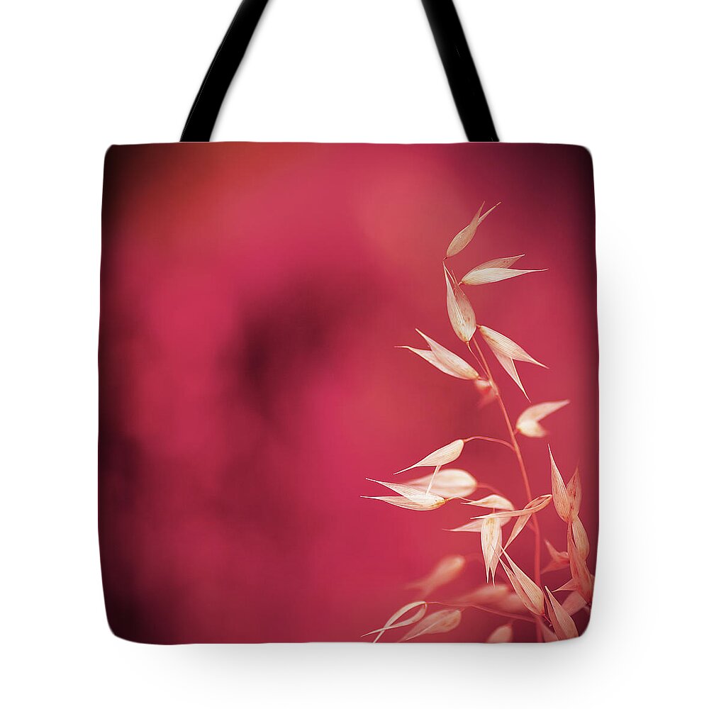 Sparse Tote Bag featuring the photograph Purple Weed by Dof-photo By Fulvio