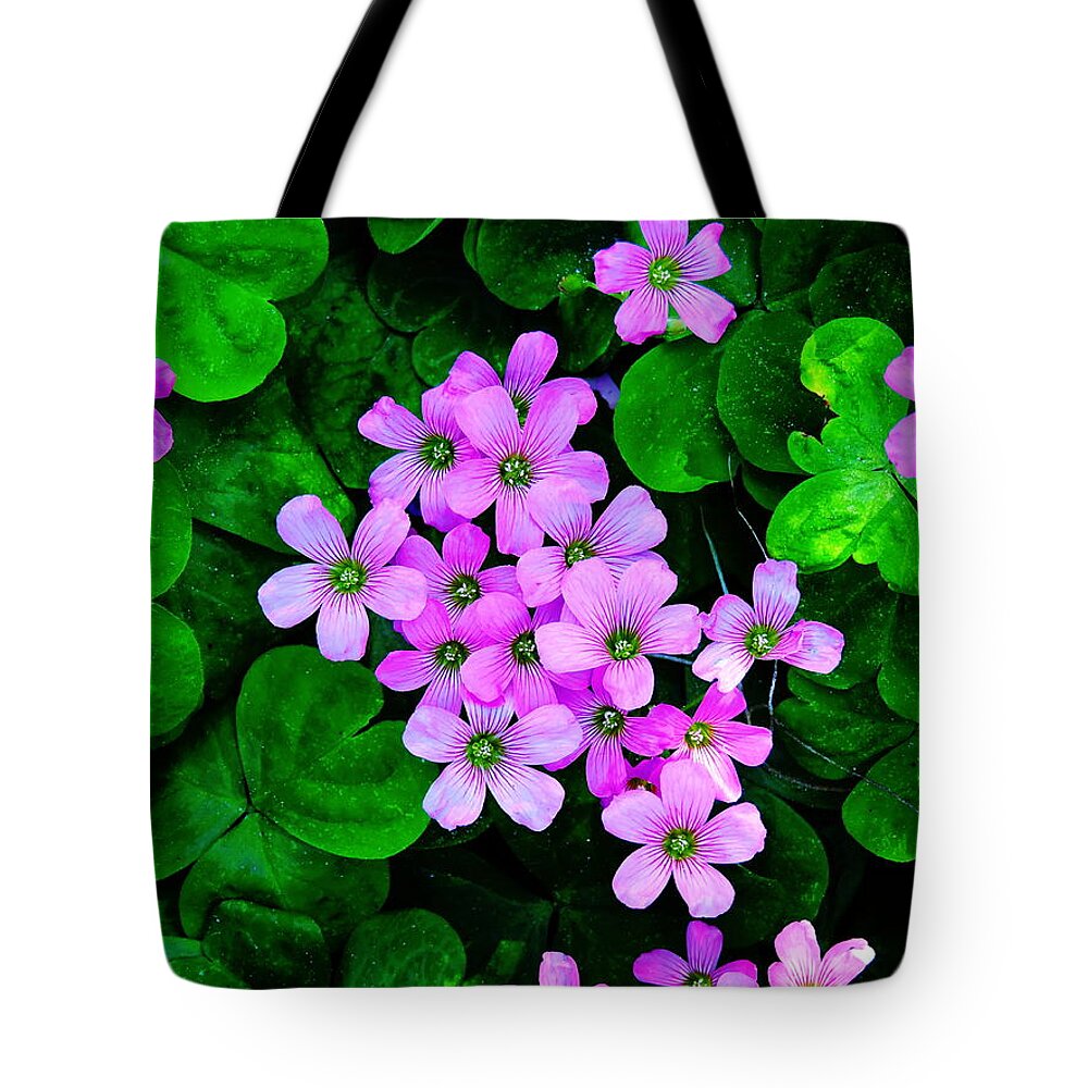 Wildflower Tote Bag featuring the digital art Pink Woodsorrel by Susan Hope Finley