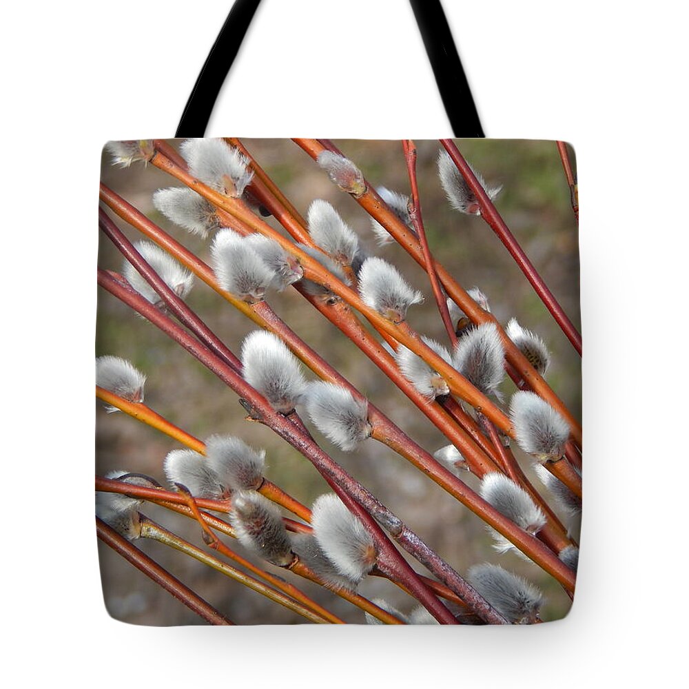 Willow Tote Bag featuring the photograph Pussy willow branches with background on the branches of trees i by Oleg Prokopenko