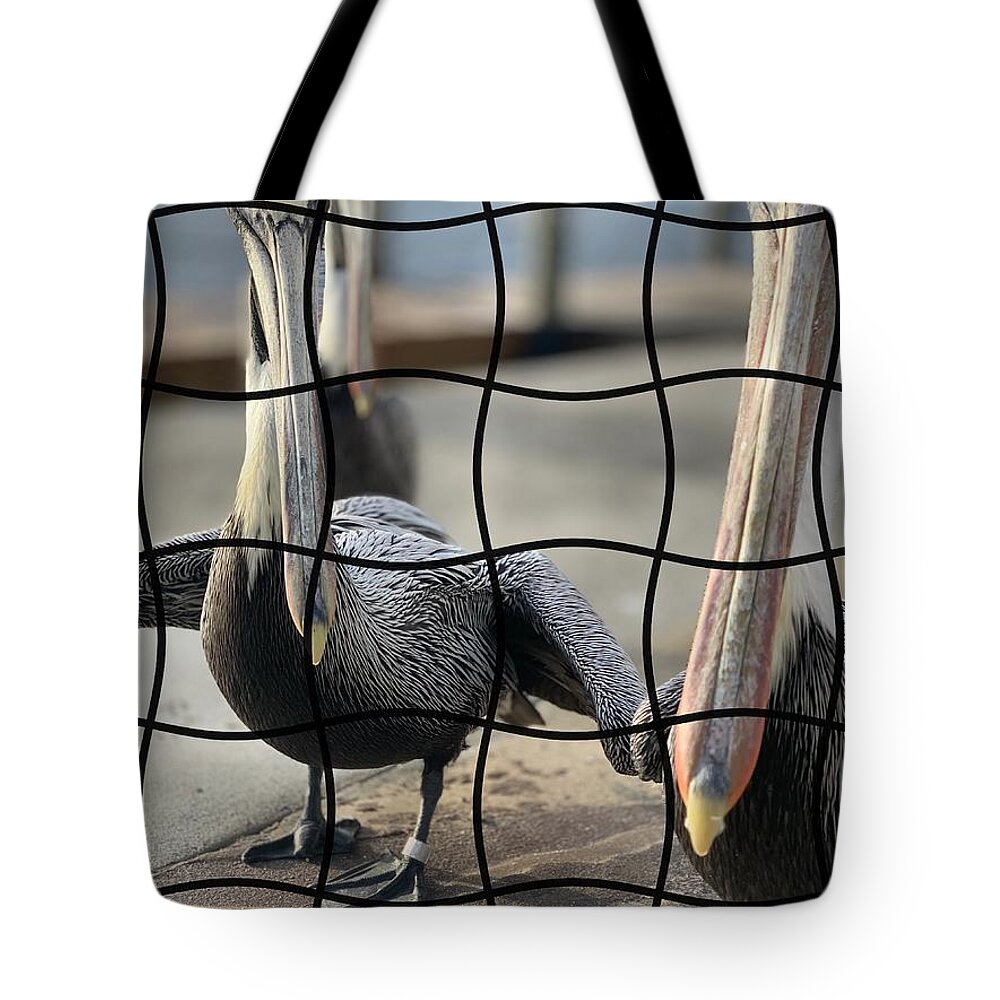 Pelican Tote Bag featuring the photograph Puzzled by Alison Belsan Horton
