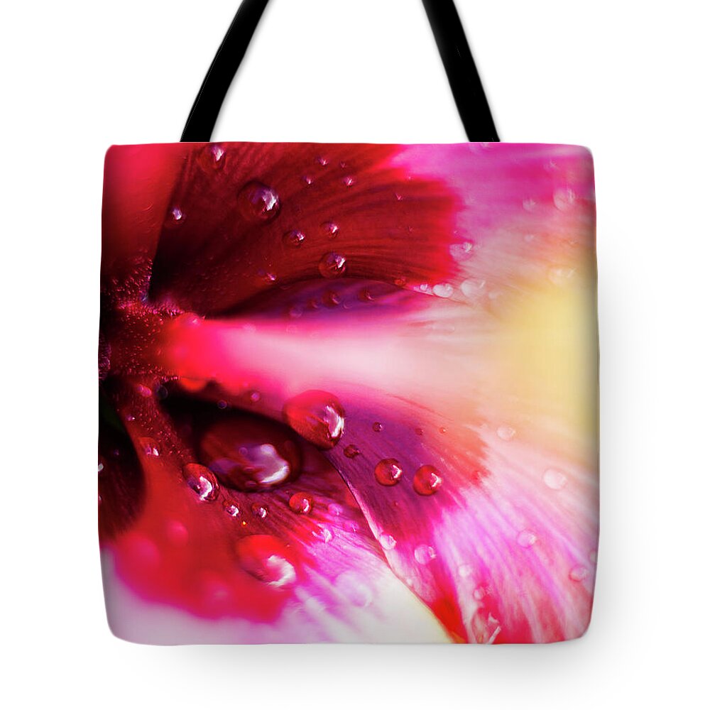 Hibiscus Tote Bag featuring the photograph Rain Flower by Mike Long