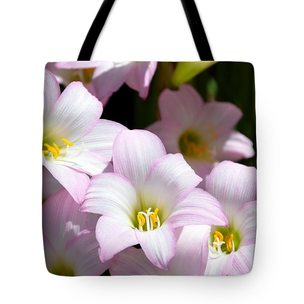 Lily Tote Bag featuring the photograph Rain Lily Flowers by Margaret Zabor