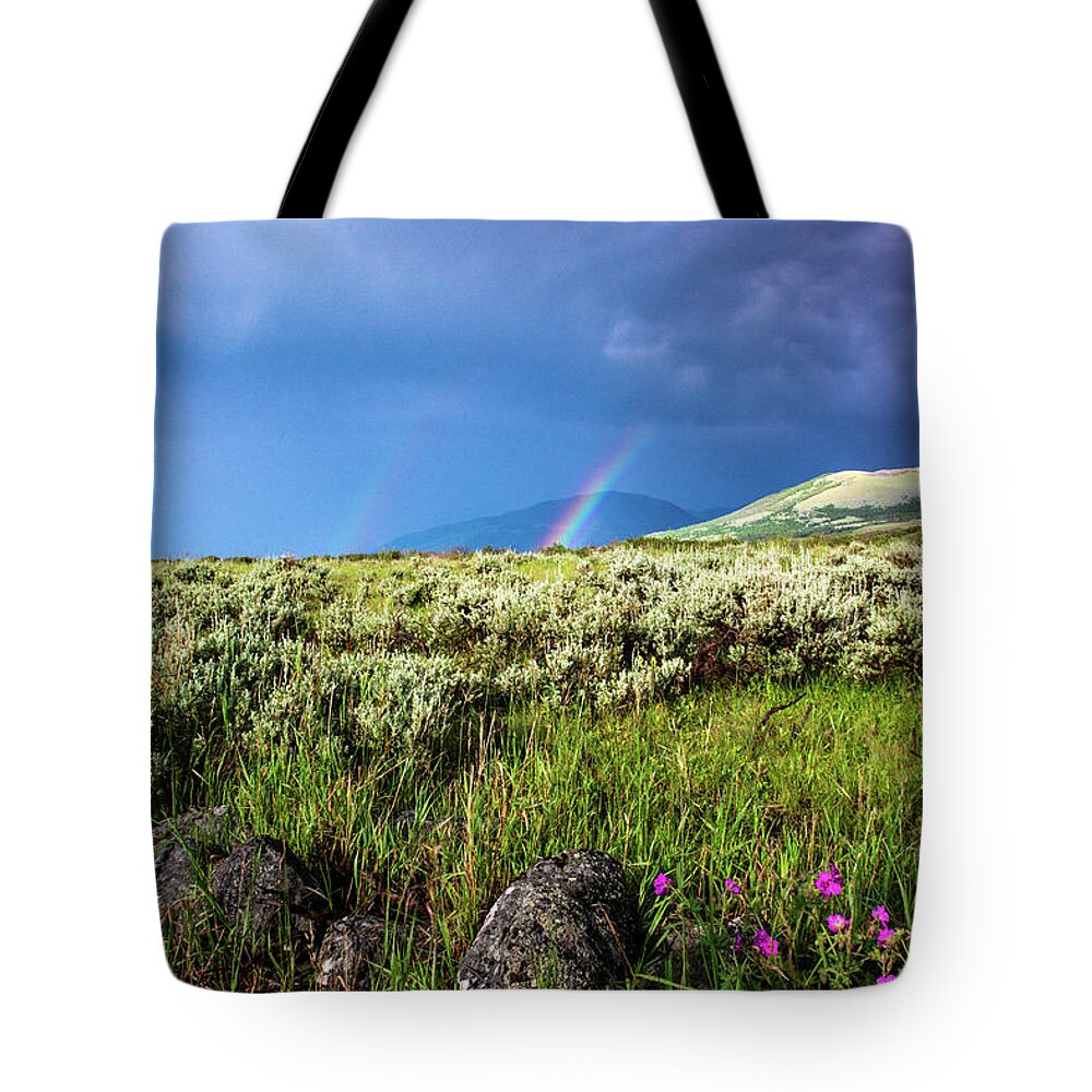 Storm Tote Bag featuring the photograph Rainbow over Tom Miner Basin by Douglas Wielfaert