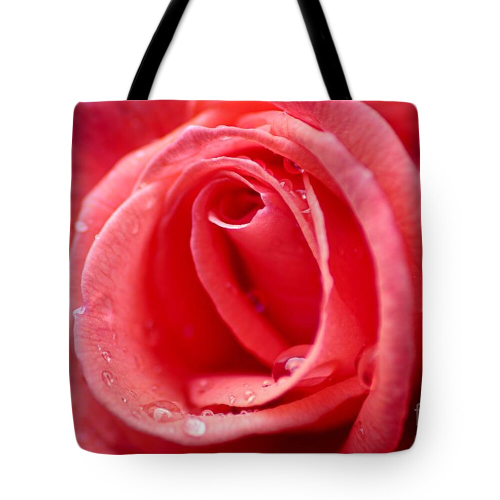Photography Tote Bag featuring the photograph Raindrops on Rose by Larry Ricker