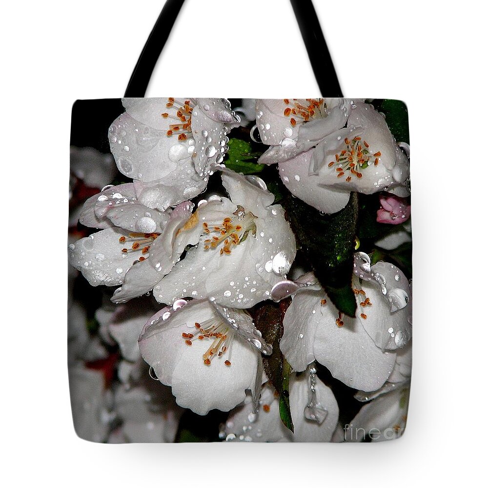 Raindrops On Crab Apple Blossoms By Rose Santucisofranko Tote Bag featuring the photograph Raindrops on Crab Apple Blossoms by Rose SantuciSofranko by Rose Santuci-Sofranko