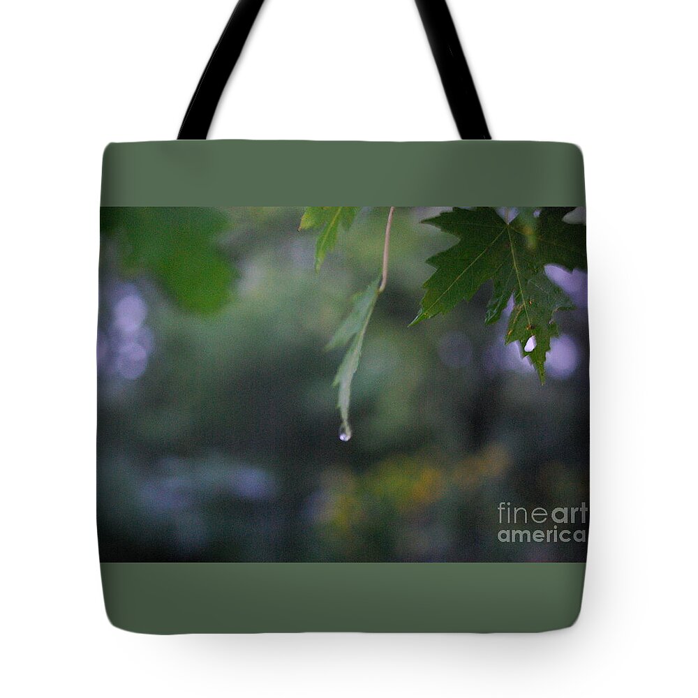 Nature Tote Bag featuring the photograph Raining by Frank J Casella