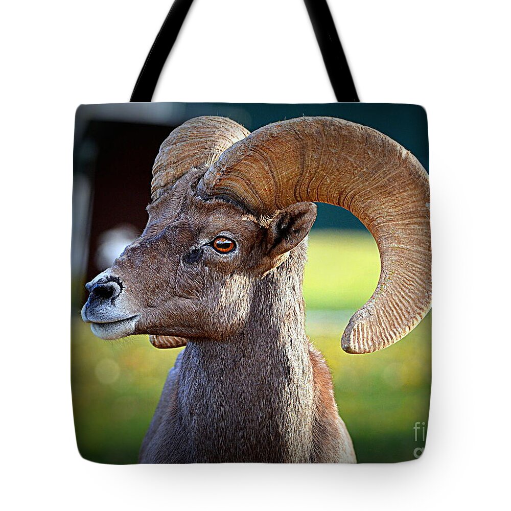 Ram Tote Bag featuring the photograph Ram Tough by Tru Waters