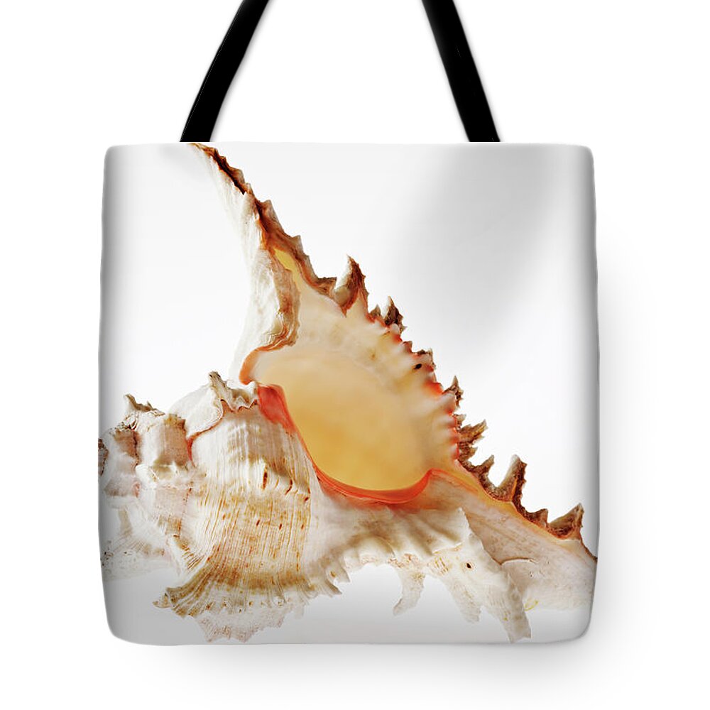 White Background Tote Bag featuring the photograph Ramose Murex Shell by Martin Harvey