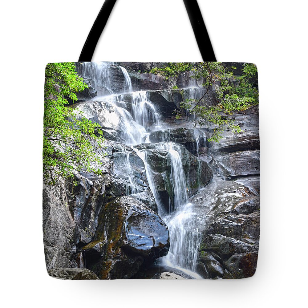 Ramsey Cascades Tote Bag featuring the photograph Ramsey Cascades 8 by Phil Perkins