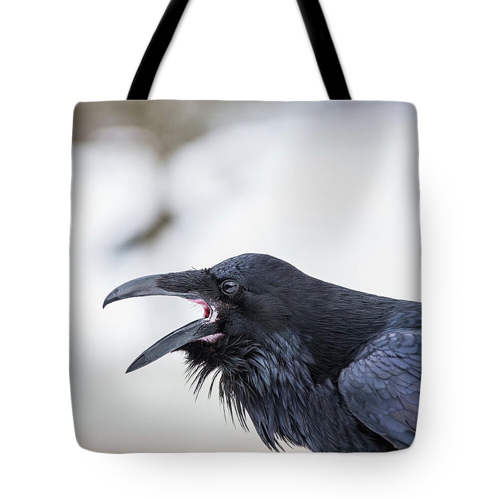 Raven Tote Bag featuring the photograph Raven 1 by David Kirby