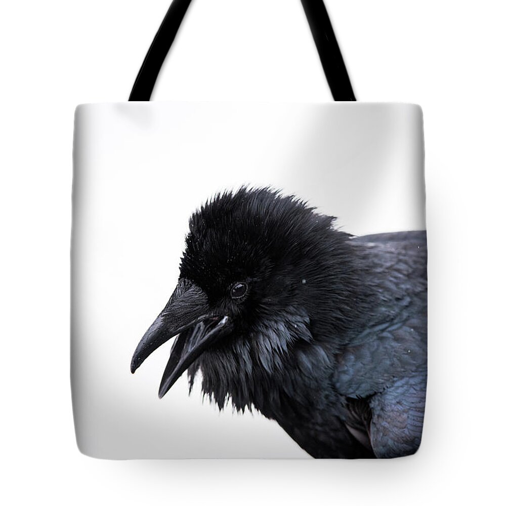 Raven Tote Bag featuring the photograph Raven 3 by David Kirby