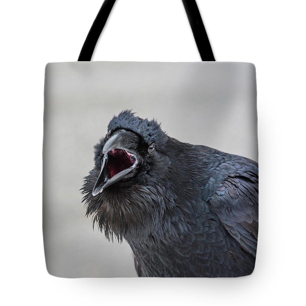 Raven Tote Bag featuring the photograph Raven 5 by David Kirby