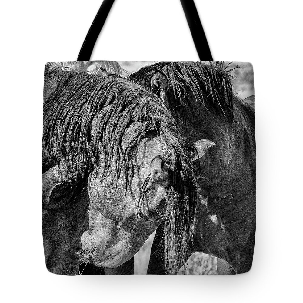 Horses Tote Bag featuring the photograph Raw by Mary Hone