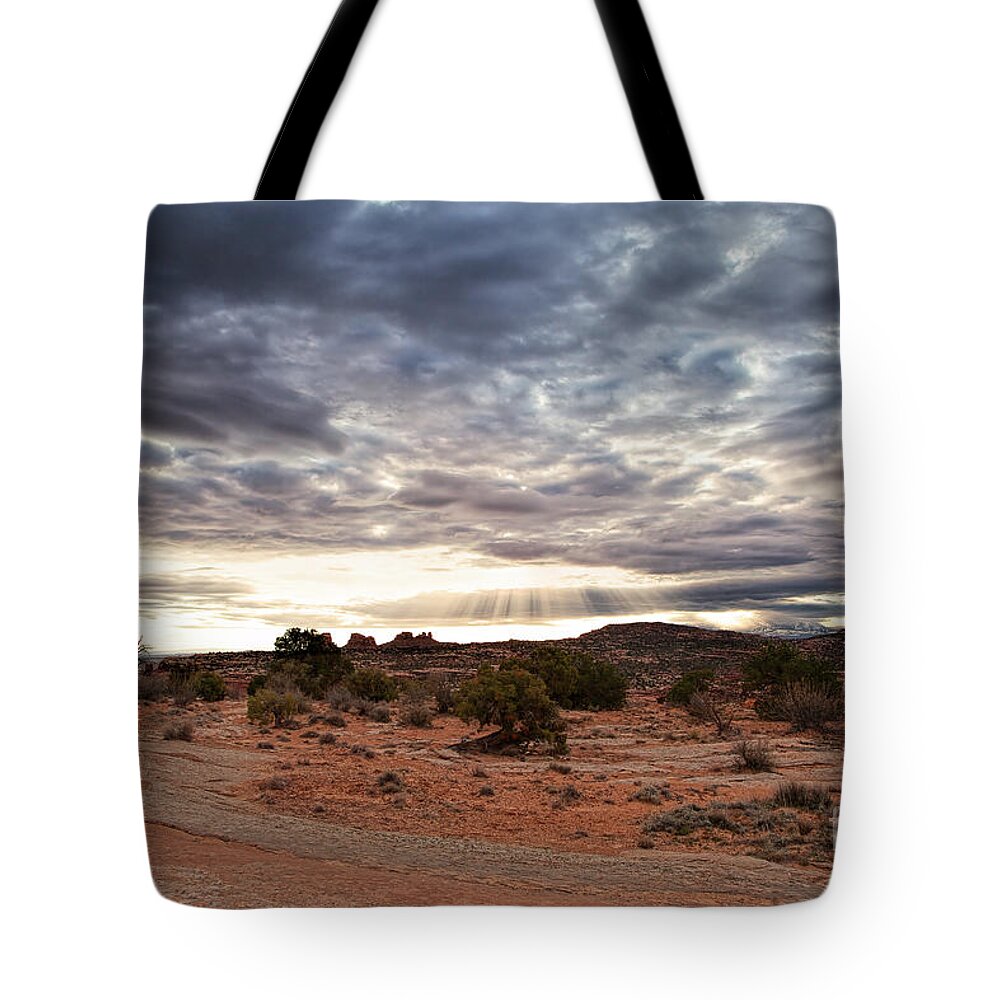 Canyonlands Tote Bag featuring the photograph Rays of Morning by Jim Garrison
