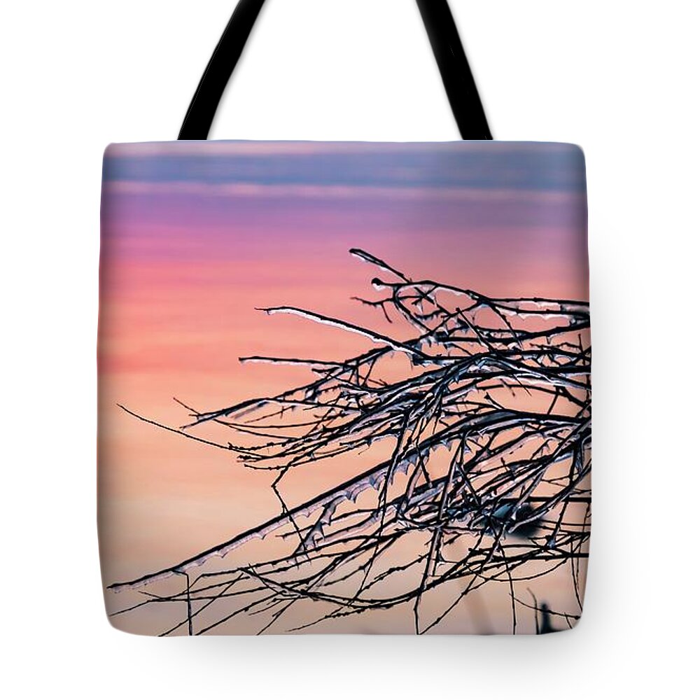 Ice Tote Bag featuring the photograph Reach by Terri Hart-Ellis