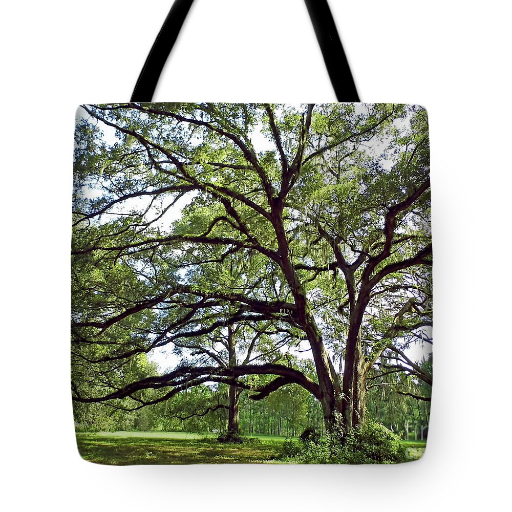 Oak Tote Bag featuring the photograph Reaching Out by D Hackett