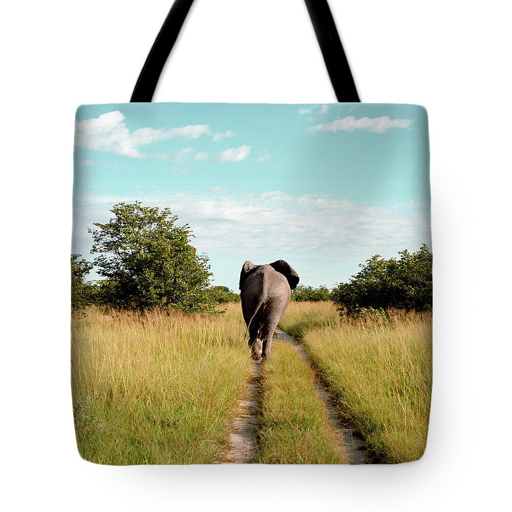 Botswana Tote Bag featuring the photograph Rear View Of Elephant, Savute Lodge by Jasper James