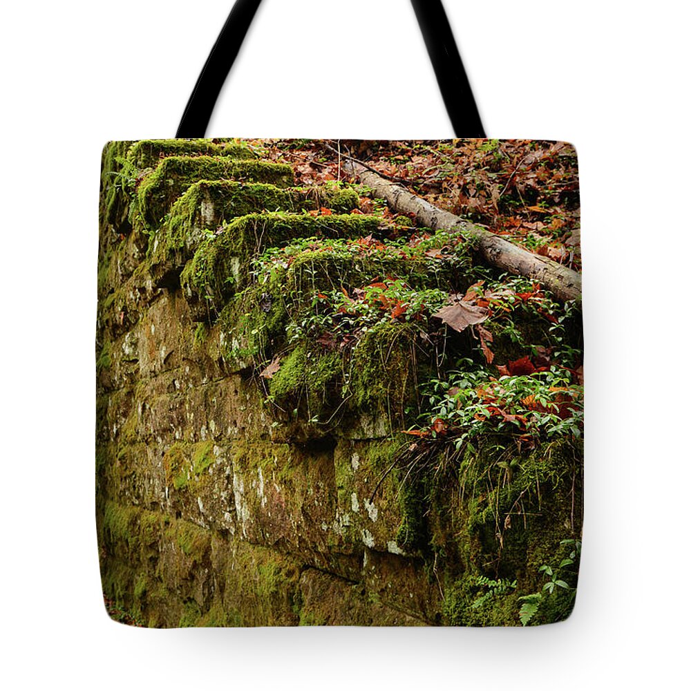 Fall Tote Bag featuring the photograph Reclaimed Steps II by Lisa Lambert-Shank