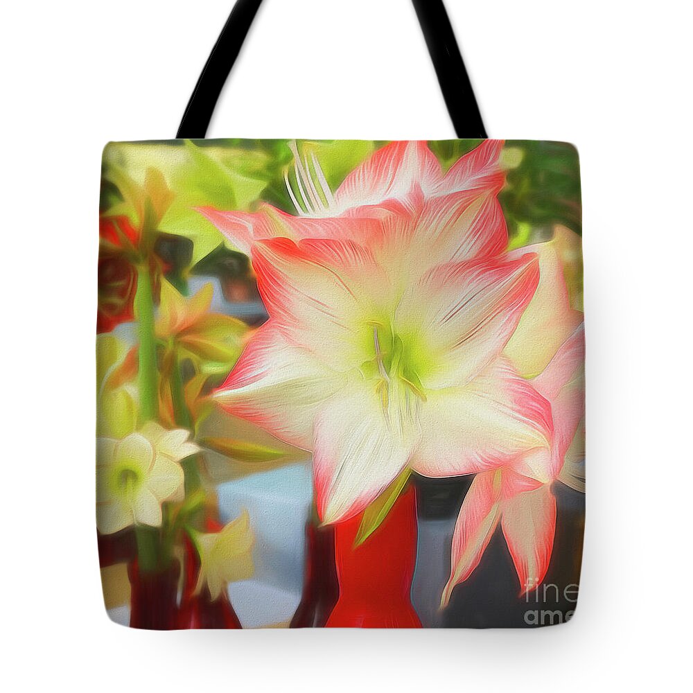 Lily Tote Bag featuring the photograph Red and White Amaryllis by Sue Melvin