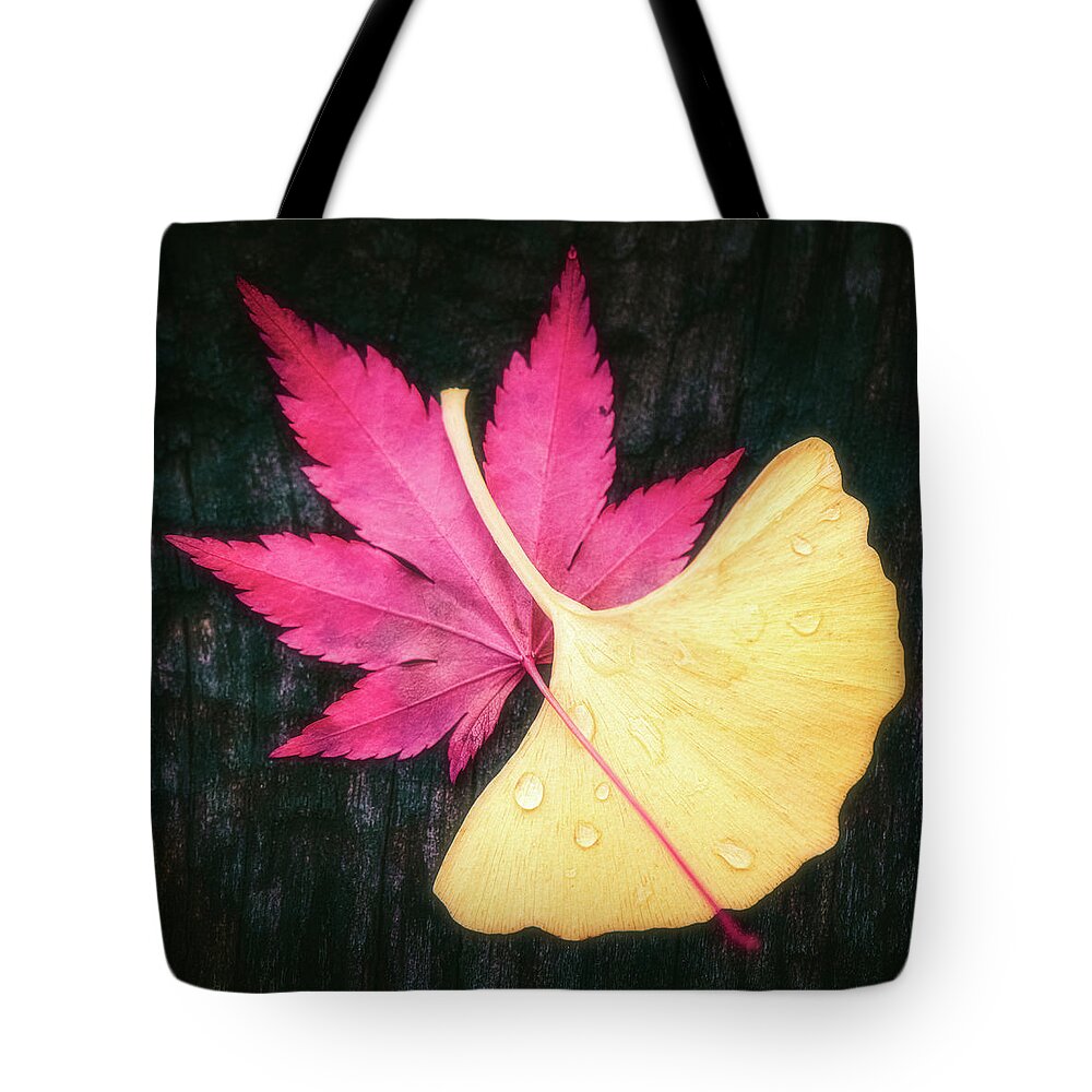 Autumn Tote Bag featuring the photograph Red and Yellow by Philippe Sainte-Laudy