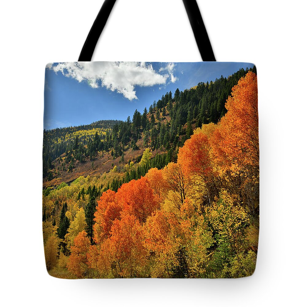 Colorado Tote Bag featuring the photograph Red Aspens Along Highway 133 by Ray Mathis