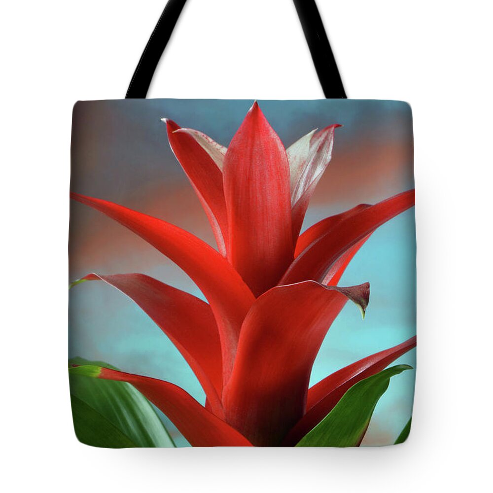 Bromeliad Tote Bag featuring the photograph Red Bromeliad by Terence Davis
