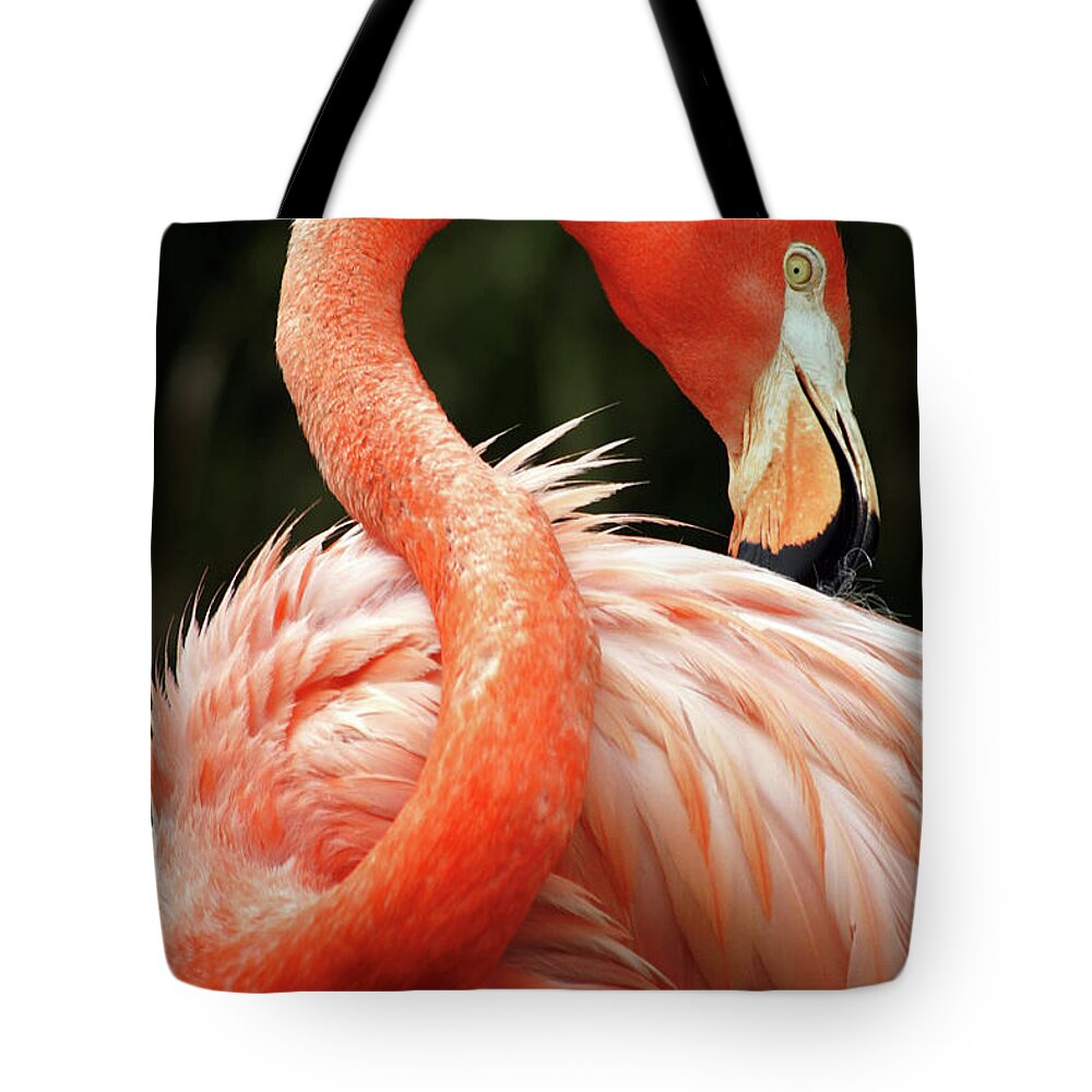 Curve Tote Bag featuring the photograph Red Flamingo by Zulufriend