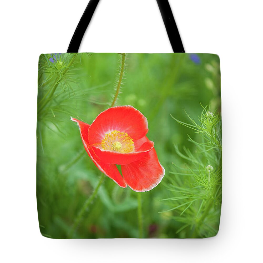 Flowers Tote Bag featuring the photograph Red Poppy by Mark Duehmig