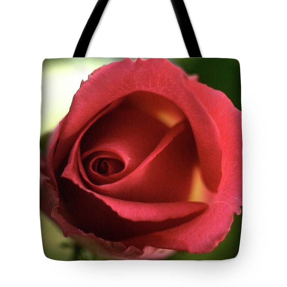 Taiwan Tote Bag featuring the photograph Red Rose by Arys Chien @ Deepwhite Studio