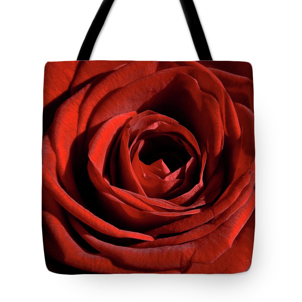 Petal Tote Bag featuring the photograph Red Rose by Katherine Pocklington