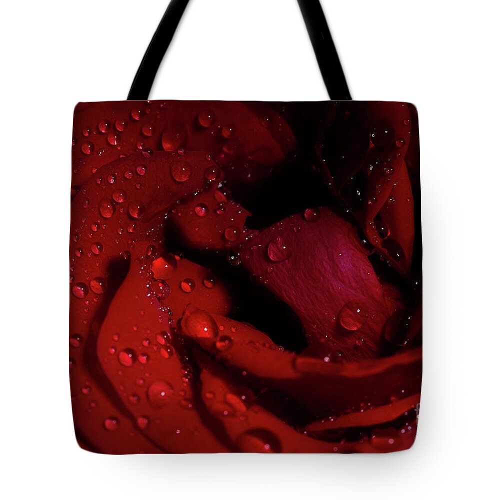 Rose Tote Bag featuring the photograph Red Rose Layers by Mike Eingle
