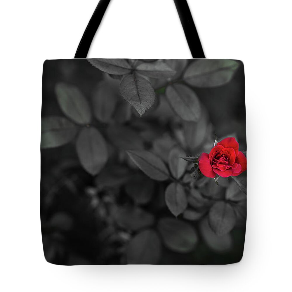 Rose Tote Bag featuring the photograph Red Rose by Mike Whalen