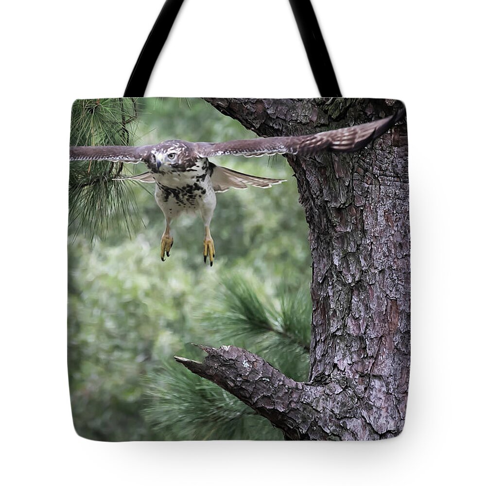 Bird Tote Bag featuring the digital art Red-Tailed Hawk in flight by Ed Stines