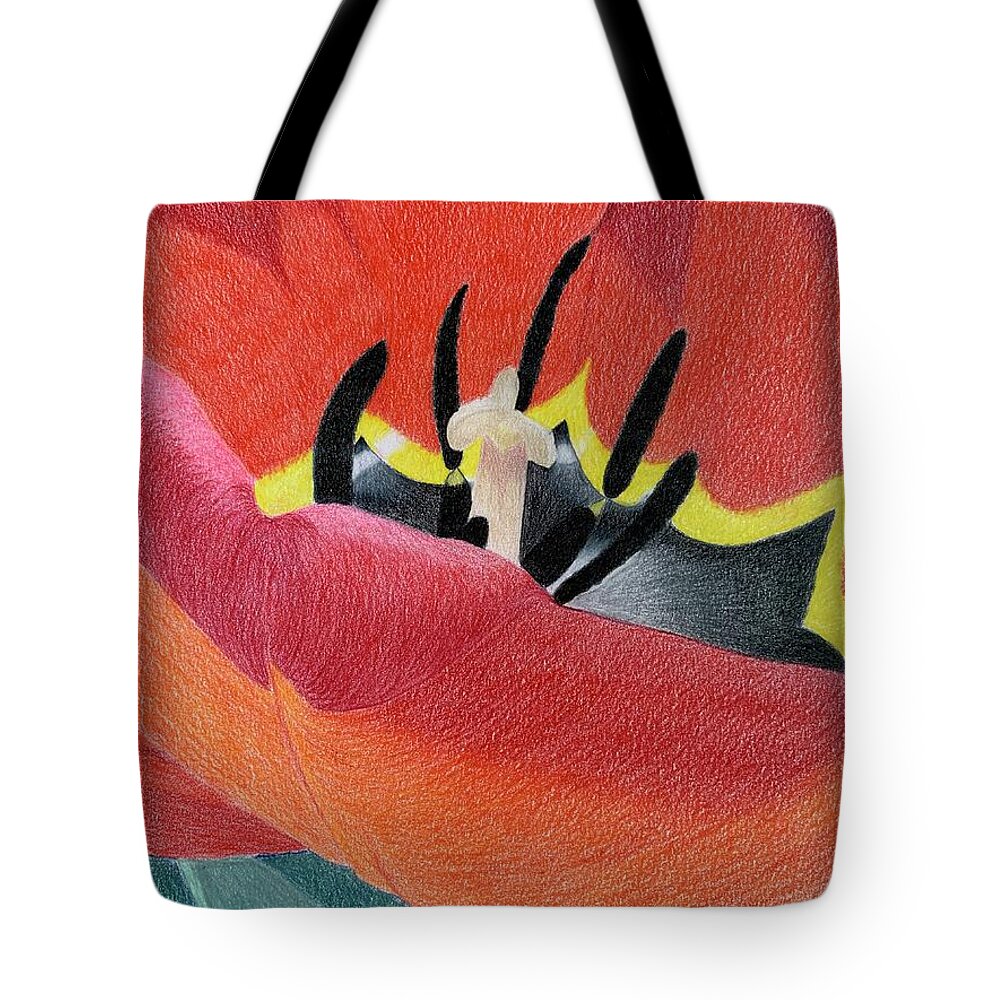 Flower Tote Bag featuring the drawing Red tulip by Colette Lee