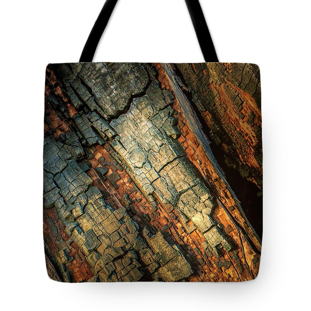  Tote Bag featuring the photograph Red Wood by Hugh Walker