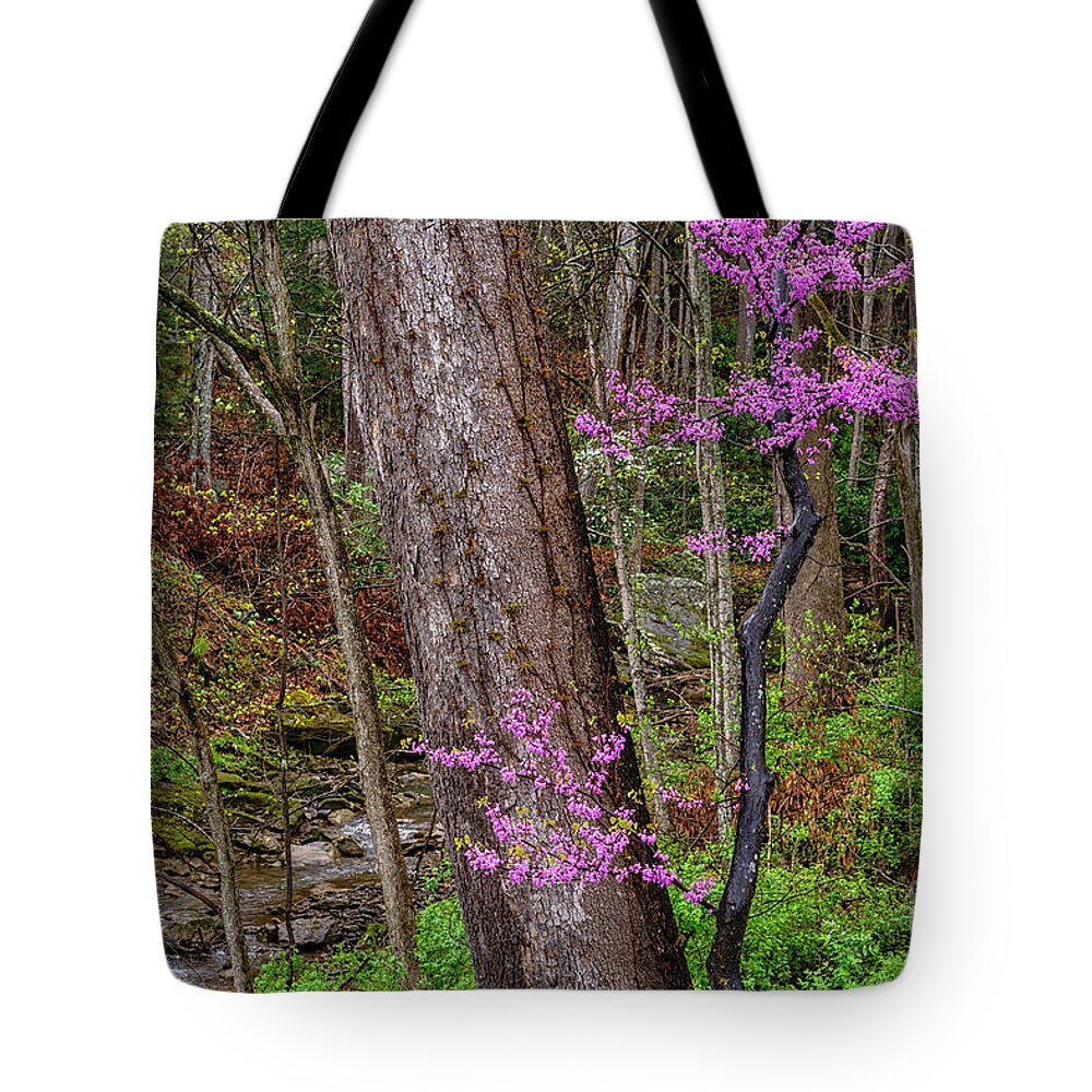 Framed Tote Bag featuring the photograph Redbud Framed between Oaks by Thomas R Fletcher
