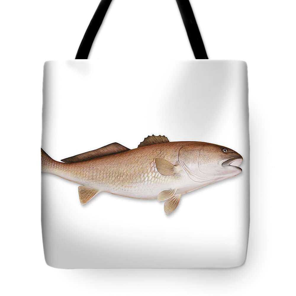 White Background Tote Bag featuring the photograph Redfish With Clipping Path by Georgepeters